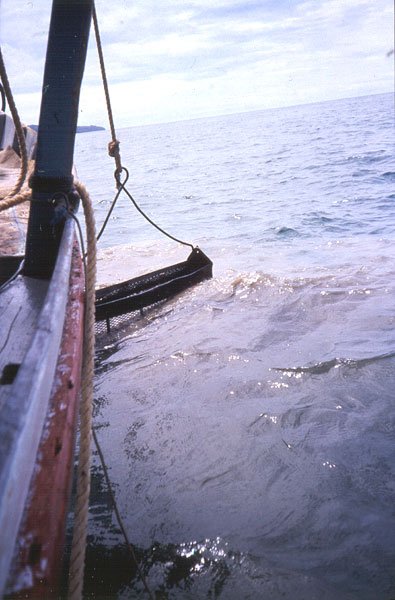 1990 Shell dredging is prohibited