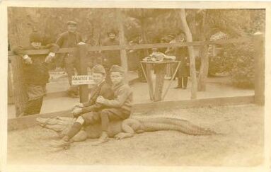 1910s ? Alligator Ride