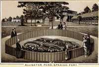 Alligator Pond at Spanish Fort